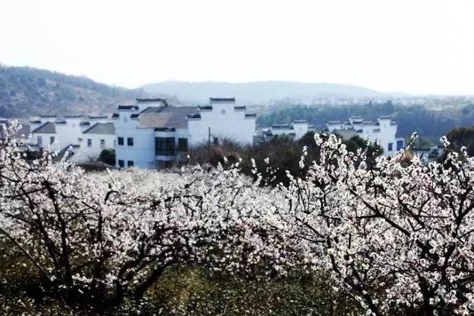 星际争霸2