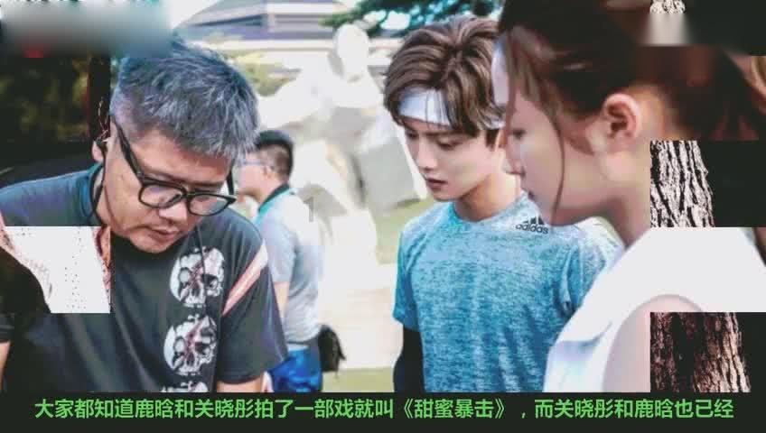 逗小猴开心系列174